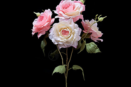 颜色素雅的玫瑰花图片
