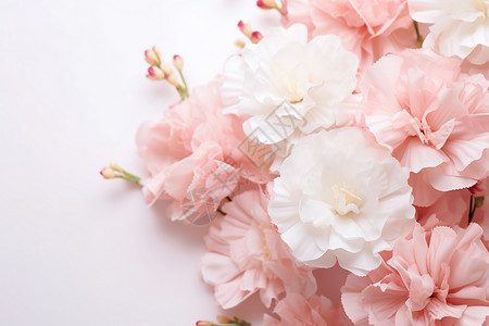 桌面上素雅的康乃馨花束背景图片