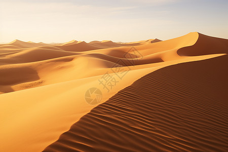 太阳下的沙漠图片