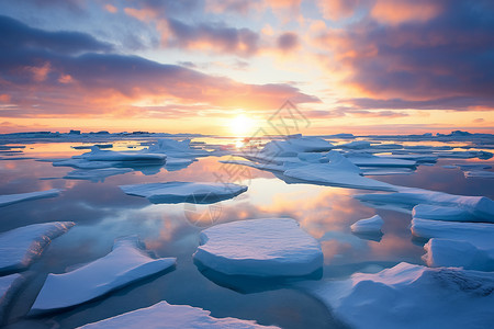 夕阳下海面上的浮冰图片