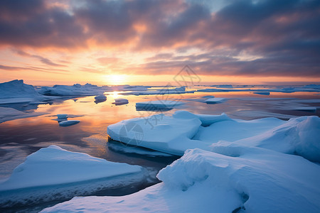 冬季海面上的浮冰图片