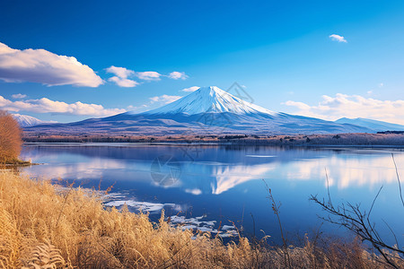秋季壮观的富士山景观高清图片