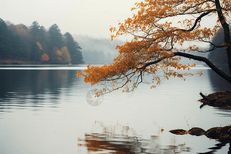 漂亮的湖水景色图片