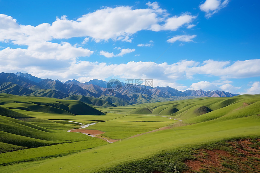 山谷中的草地图片