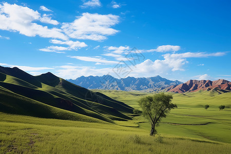 壮丽的山丘和草地图片