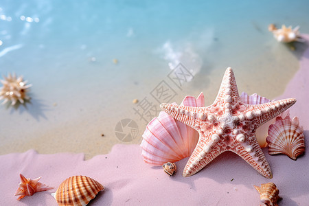 沙滩上的一只海星图片