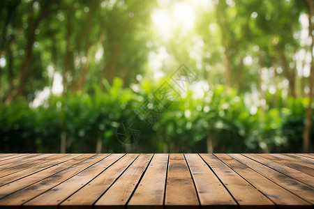 夏日阳光下木板背景图片