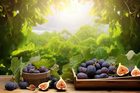 收获的水果背景图片