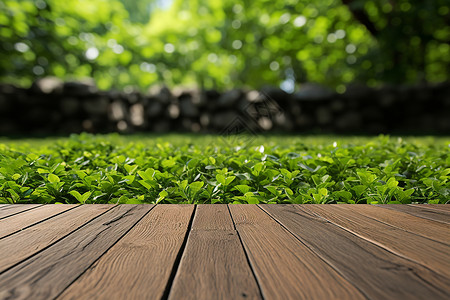 庭院的木地板背景图片