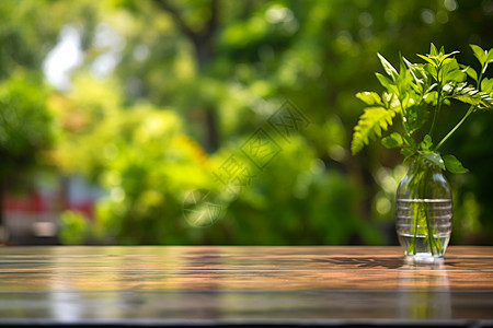 小清晰植物绿意中的植物花瓶背景
