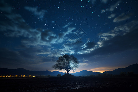 夜空下的树背景图片