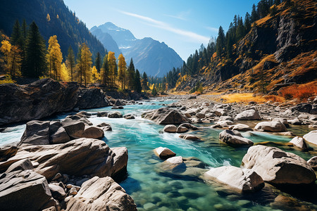 山群素材绿林中穿过的溪流背景