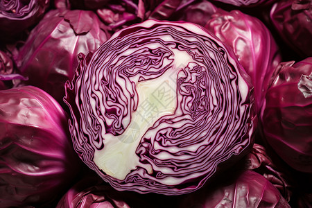 新鲜的紫色卷心菜背景图片