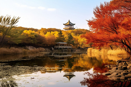秋日的彩色湖畔图片
