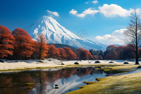 富士山下宁静的自然景观高清图片