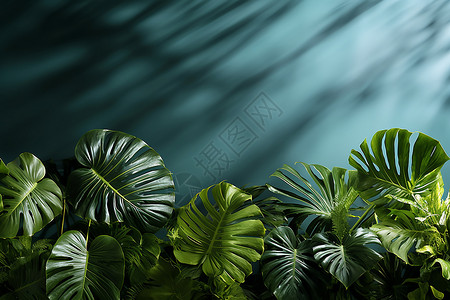 翠绿森林中的热带美景背景图片