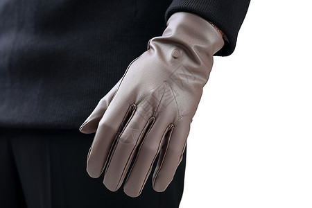 冬季时尚简约的女士皮质手套图片