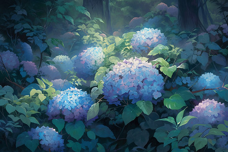 繁花丛生的多彩绣球花背景图片