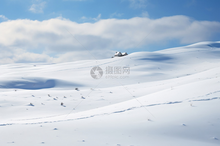 冬日白雪中的梦幻景色图片