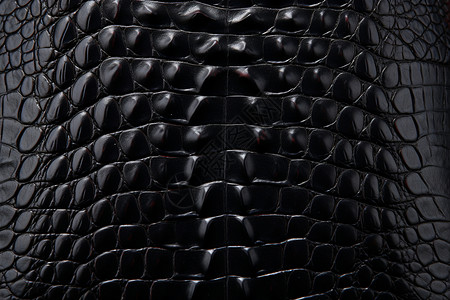 黑色鳄鱼皮质背景图片