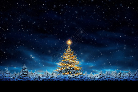 冬天夜圣诞夜星空下的圣诞树设计图片