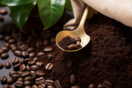 新鲜研磨的咖啡豆图片