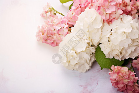 粉白花束清新唯美背景图片