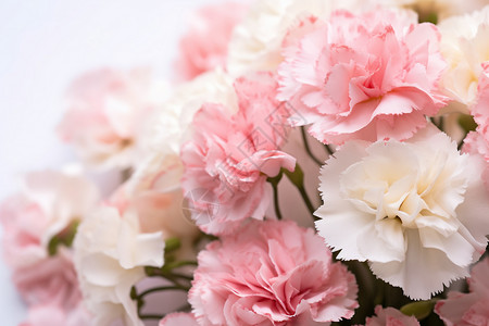 新鲜花束花园中的粉白花朵背景