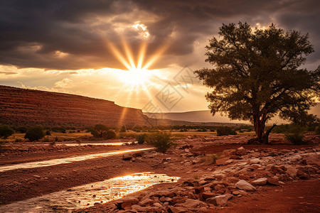 荒漠中的落日景观背景图片