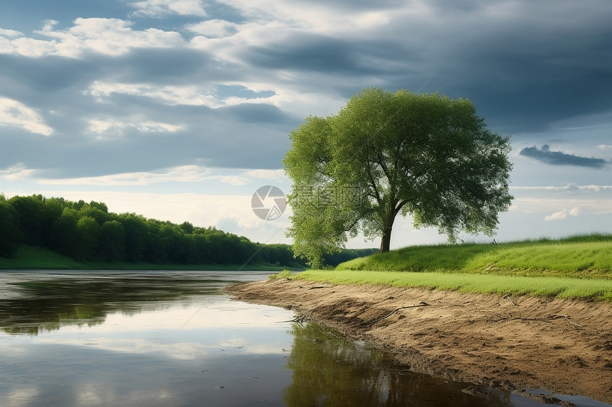 美丽的河面树影图片