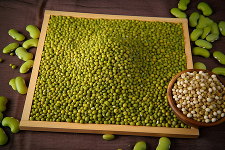 营养丰富的绿豆背景图片