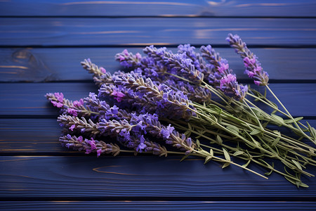 薰衣草花束图片