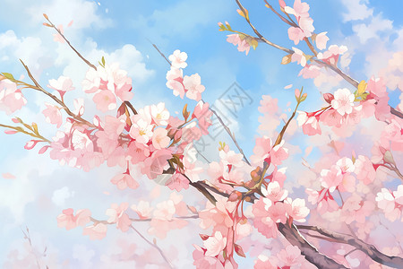 粉色的樱花插画图片
