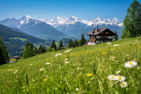 山坡上的住宅小屋图片