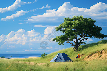 户外草原上的帐篷背景图片