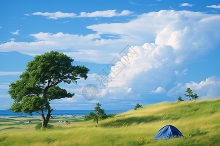 户外田野上的帐篷图片