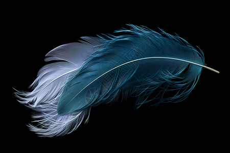 柔软的蓬松羽毛背景图片