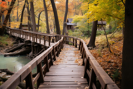 公园木桥深秋森林中的小木桥背景