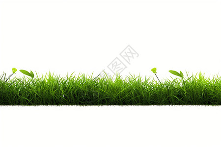 绿色的草地背景图片