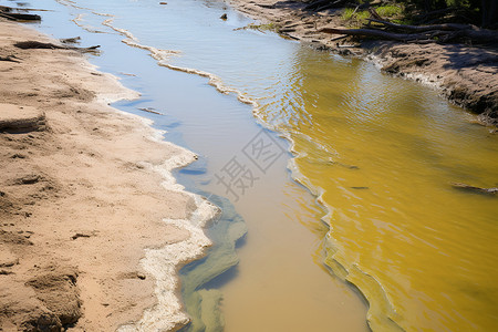 溪流中的水藻图片