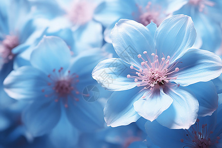 粉蓝浪漫粉蓝花朵背景