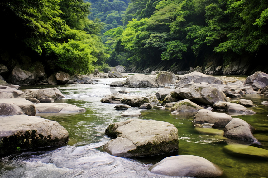 溪流里的岩石图片