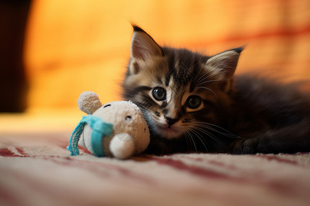 猫咪和毛绒玩具背景图片