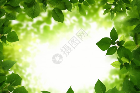 绿叶间的阳光背景图片