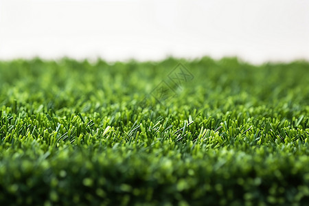 绿草如茵人工草皮高清图片