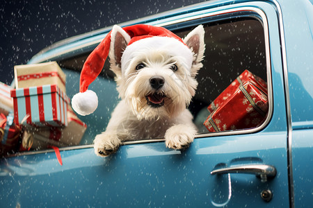 老式汽车里的圣诞小狗高清图片