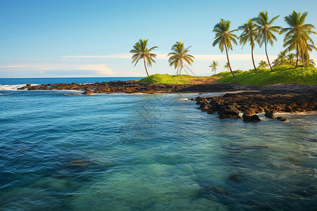 热带清澈蔚蓝的大海背景图片