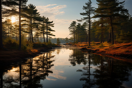 秋季平静的林间溪流背景图片