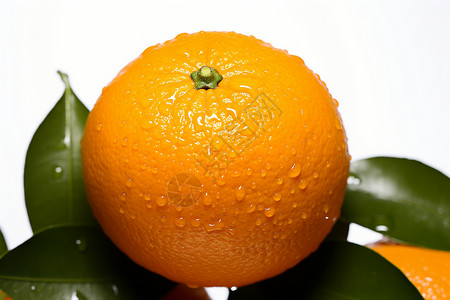 清新多汁的橙子背景图片