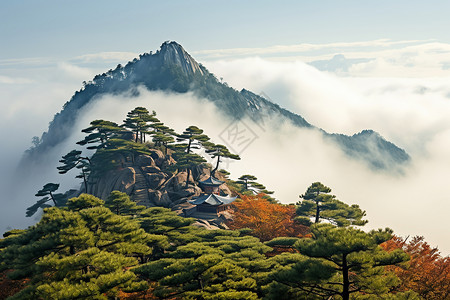 崂山上清宫景观中国华山上的美丽景色背景